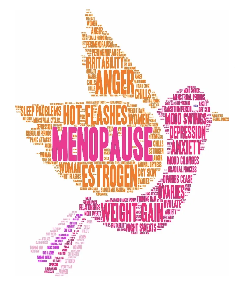 Menopause - Symptoms & Treatments