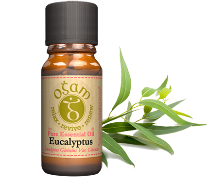 Ogam Eucaylptus Pure Essential Oil