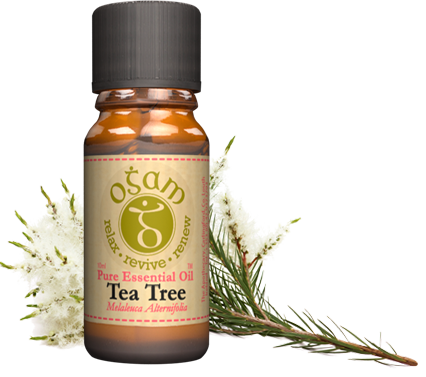 Ogam Tea Tree Pure Essential Oil